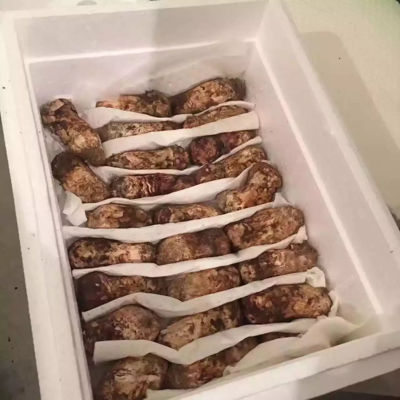 成都機場快遞